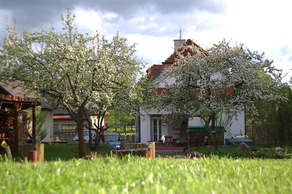 Guest house Belvia
